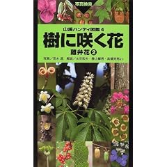 樹に咲く花―離弁花〈2〉 (山渓ハンディ図鑑)