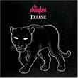 Feline