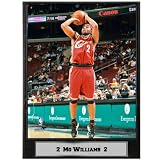 Mo Williams Photograph Nested on a 9