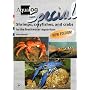 Aqualog Special: Shrimps, Crayfishes, and Crabs in the Freshwater Aquarium, New Revised Edition