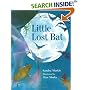 Little Lost Bat