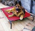 Deluxe Indoor/Outdoor Raised Dog Bed - Merlot