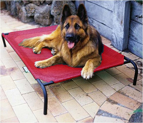 Deluxe Indoor/Outdoor Raised Dog Bed - Merlot
