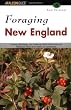 Foraging New England: Finding, Identifying, and Preparing Edible Wild Foods and Medicinal Plants from Maine to Connecticut