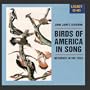 Birds Of America In Song