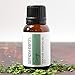 Sage Essential Oil by Simply Earth - 15 ml, 100% Pure Therapeutic Grade