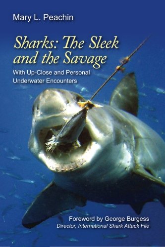 Sharks The Sleek and The Savage: with up close and underwater personal encounters