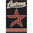 Houston Astros MLB Applique Banner Flag (44"x28")