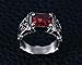 RAUL FANT Mens Cross Titanium Stainless Steel Rings With Stone