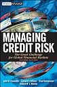 Managing Credit Risk: The Next Great Financial Challenge (Frontiers in Finance Series)