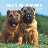 Shar-Pei Puppies 2008 Mini Wall: Mini 6x6