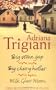 Big Stone Gap Trilogy