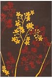 Arboretum Rug 2'6x10'runner Brown