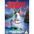 The Christmas Bunny [DVD]