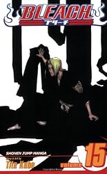 Bleach, Vol. 15