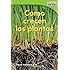 C&oacute;mo crecen las plantas (How Plants Grow) (Time for Kids Nonfiction Readers: Level 1.4) (Spanish Edition)