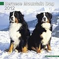 Kalender 2012 Berner Sennenhund