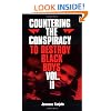 Countering the Conspiracy to Destroy Black Boys, Vol. 2