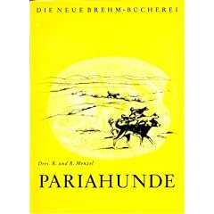 Pariahunde