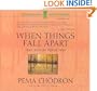 When Things Fall Apart: Heart Advice for Difficult Times