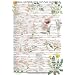 Herbal Remedies For Common Ailments Wall Chart