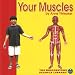 Your Muscles (Your Body)