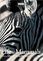 The Life of Mammals, Vol. 1