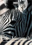 The Life of Mammals, Vol. 1