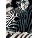The Life of Mammals, Vol. 1
