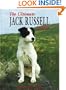 The Ultimate Jack Russell Terrier