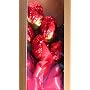 1/2 Dozen Gourmet Chocolate Roses from Heartwarming Treasures