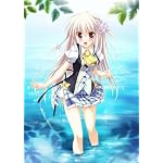 1/2 summer+(��󥵥��ɡ����ޡ� �ץ饹)�̾��� ͽ����ŵ:�֥���ե����ץڡ��ѡ��ȥ�: �ױ�� ������