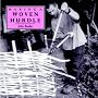 Making a Woven Hurdle (Making...S.)
