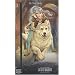 L'elfe de lune, Tome 1 : La cit� maudite
