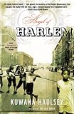 Angel of Harlem: A Novel (Many Cultures, One World)
