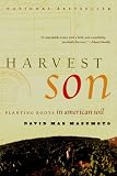 Harvest Son: Planting Roots in American Soil