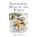Naturalised Birds of the World (Poyser Monographs)
