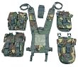 Web-Tex Standard PLCE Webbing Set