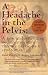 A Headache in the Pelvis: A New Understanding and Treatment for Chronic Pelvic Pain Syndromes