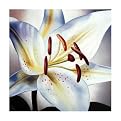 Lindsay 1006 Original Hand-Painted Oil on Canvas by Carl Sebastian- 32x32"