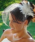 WHITE Feather Bridal Rhinestone Headpiece Cage Veil with Clip