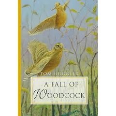 A Fall of Woodcock