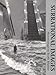 Surrational Images: PHOTOMONTAGES