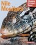 Nile Monitors