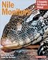 Nile Monitors