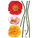 Reusable Decoration Wall Sticker Decal - Floral Arrangements Reusable Decoration Wall Sticker Decal - Floral Arrangements