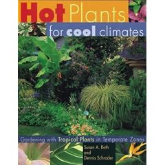 Hot Plants for Cool Climates