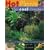 Hot Plants for Cool Climates