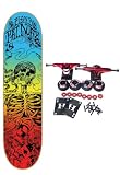PLAN B Complete Skateboard PAT DUFFY SKELETON GRADIENT 8