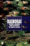 Rasboras: Keeping & Breeding Them in Captivity (Guide to Owning)